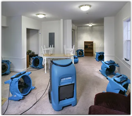 Drying & Dehumidification in Hamilton, MT
