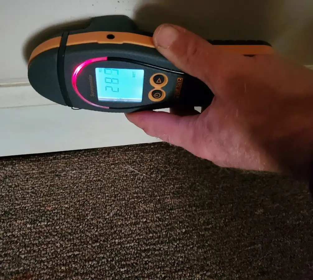 Moisture detection at baseboard during Sewage Cleanup & Sanitation in Hamilton